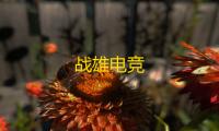 战雄电竞
